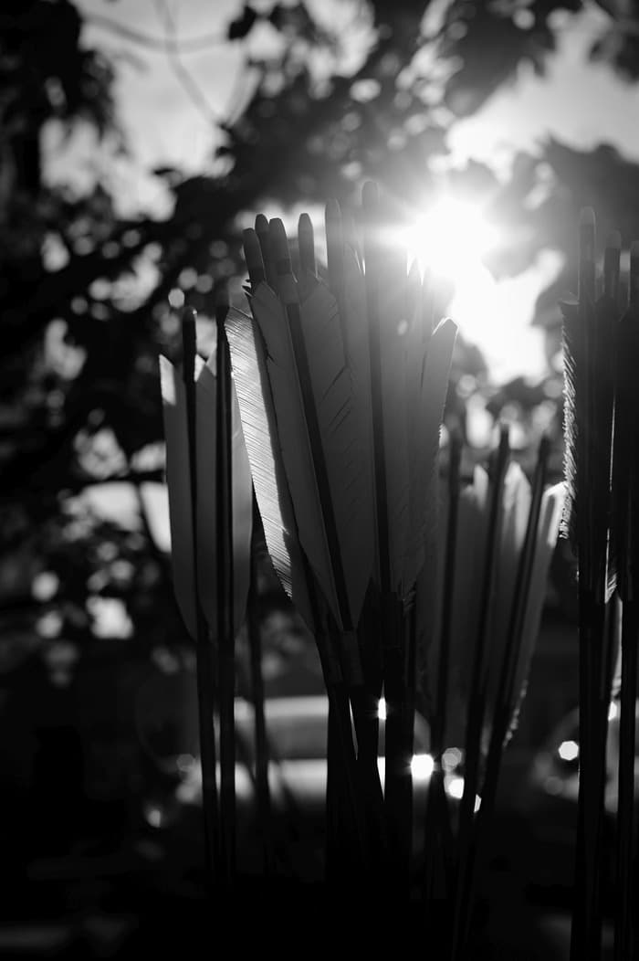 Arrows in the sun - Kyudo practice